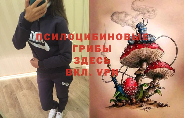 a pvp Белоозёрский