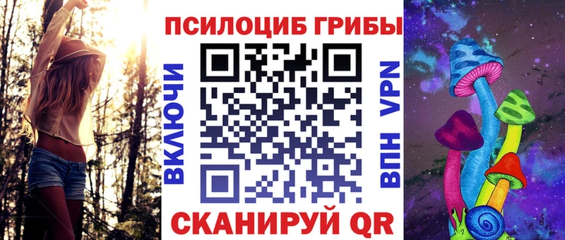 как найти наркотики  Городовиковск  Псилоцибиновые грибы Psilocybine cubensis 